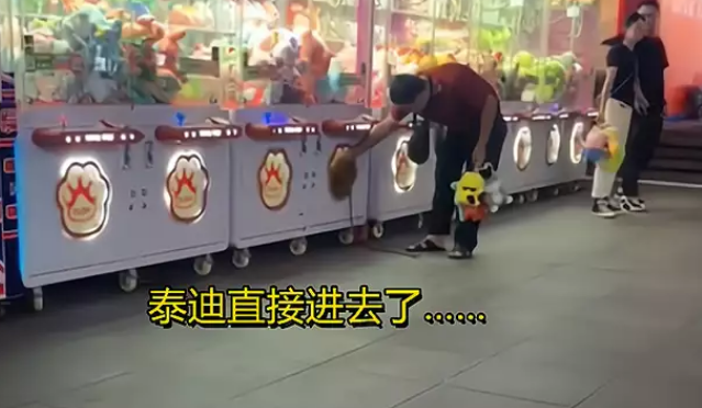 神操作!广东男子让狗钻进娃娃机抓公仔,“手上拿着一堆战利品” 神操作!广东男子让狗钻进娃娃机抓公仔,“手上拿着一堆战利品”