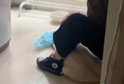 犯错拉布拉多被打骂，阿拉斯加也一副心虚样子