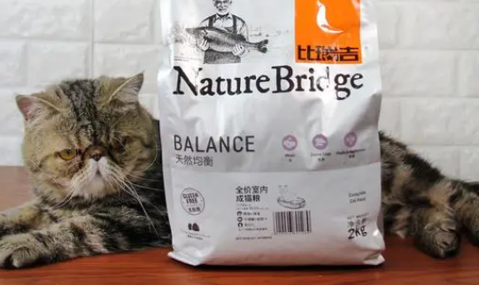 新手铲屎官必看！养猫路上不踩坑，推荐“宝藏”比瑞吉猫粮