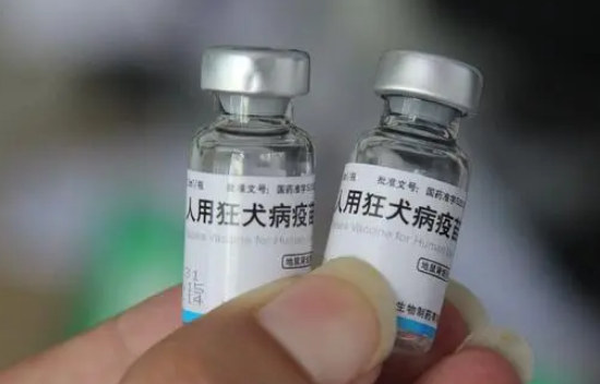男生模仿电视剧用嘴吸女友被猫抓伤的手,医生告知都需打狂犬疫苗 男生模仿电视剧用嘴吸女友被猫抓伤的手,医生告知都需打狂犬疫苗