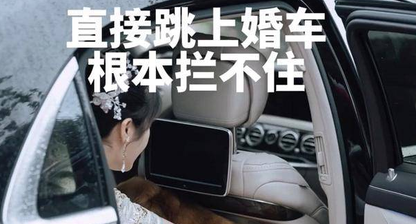 四川一女子出嫁，狗狗也跟上车，怎么拽都不下来，网友：带上它吧