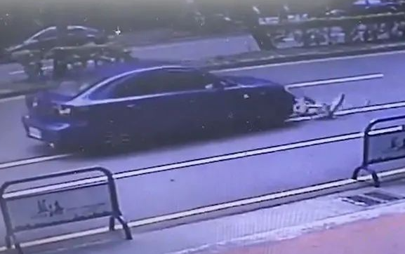 哈士奇被抓进警局,收到交通事故单主人差点气炸 哈士奇被抓进警局,收到交通事故单主人差点气炸