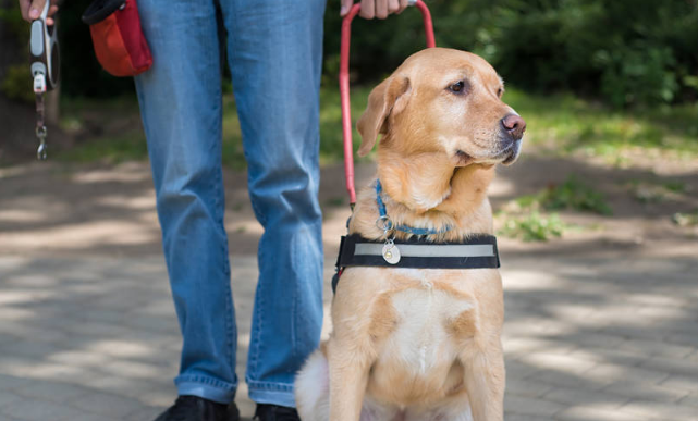 image.png禁止携带犬只入内！两山公园加强管理措施并进行集中整治