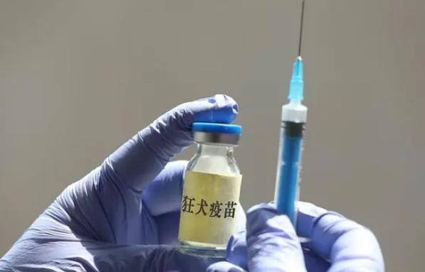 男生模仿电视剧用嘴吸女友被猫抓伤的手,医生告知都需打狂犬疫苗 男生模仿电视剧用嘴吸女友被猫抓伤的手,医生告知都需打狂犬疫苗
