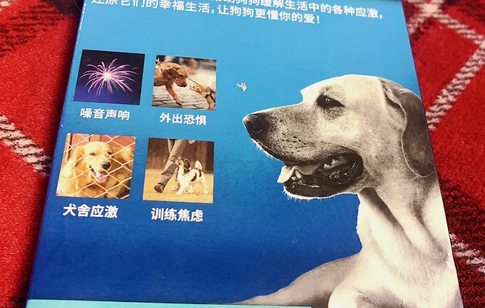 爱达恬宠物用品怎么样？一文解析