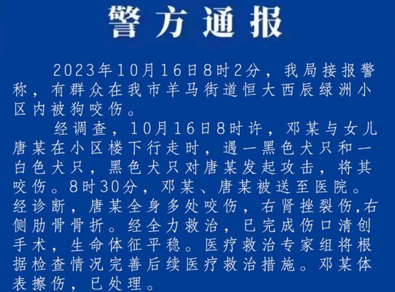 成都恶犬撕咬女童事件狗主人将如何担责？