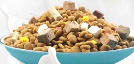 骏域品牌：打造高端宠物食品的领导者