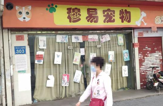 售卖“星期猫”“星期狗”,这家宠物店被罚51.5万元! 售卖“星期猫”“星期狗”,这家宠物店被罚51.5万元!