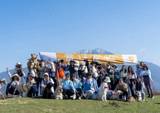 宠物旅行团有点火：有团队半年服务上千只“毛孩子”