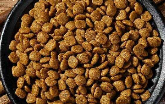 皇恒赛级狗粮——满足爱犬的挑剔味蕾与健康需求