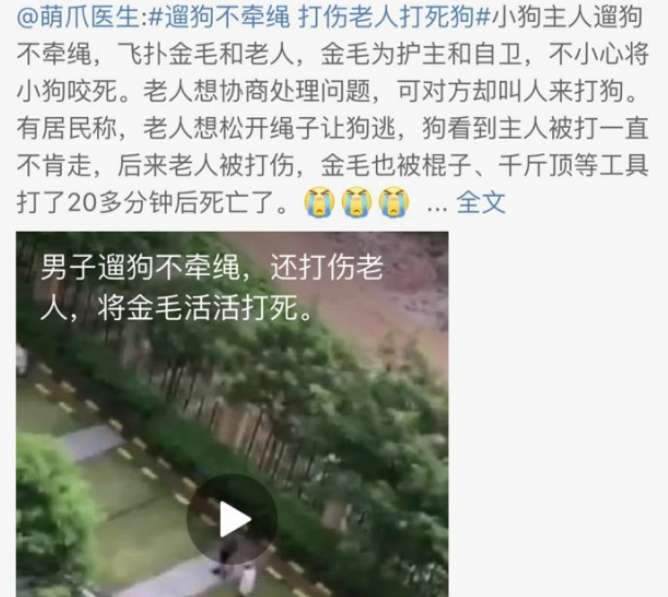 佛山“打死金毛犬”续：当事人朋友遭电话恐吓