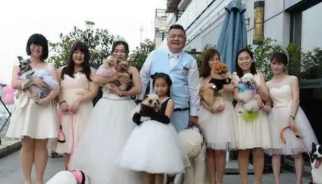 结婚妹子抱狗有什么说法 结婚妹子抱狗有什么说法