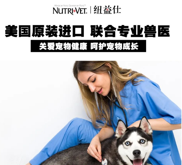 纽益仕DS氨糖关节片怎么样?纽益仕DS氨糖关节片好用吗 纽益仕DS氨糖关节片怎么样?纽益仕DS氨糖关节片好用吗