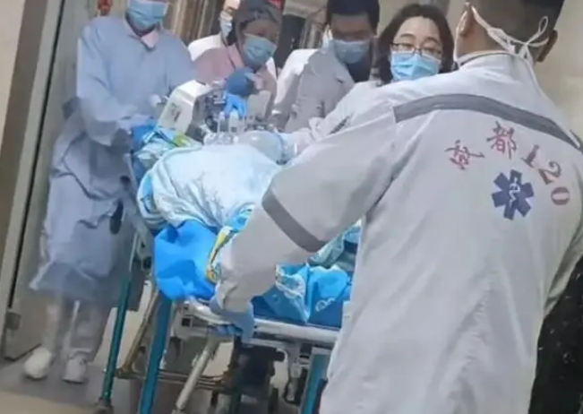 被烈犬咬伤女童仍昏迷,涉事黑狗已找到!六大疑问需要回答 被烈犬咬伤女童仍昏迷,涉事黑狗已找到!六大疑问需要回答