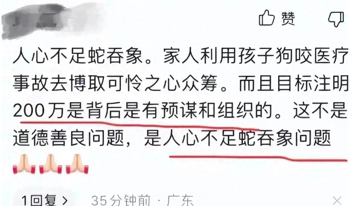 烈犬咬伤女童事件超千名捐款网友申请退款,金额近5万