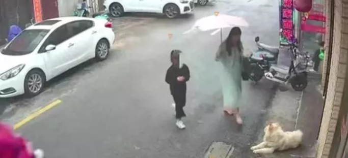 女子遭犬咬后事态升级:脸部伤势严重,狗主人或将面临高额赔偿!