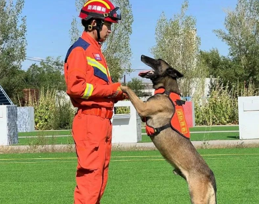新疆消防救援总队全国第七届消防搜救犬比武备战侧记