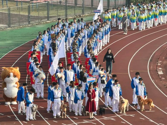 全是显眼包!学院让带狗狗参加校运会,结果现场的狗一个比一个离谱! 全是显眼包!学院让带狗狗参加校运会,结果现场的狗一个比一个离谱!