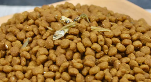 萌宗猫粮猫能吃吗 萌宗猫粮猫能吃吗