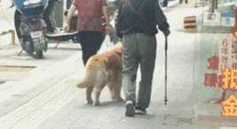 起火时，爸妈抱狗直接跑了，小哥一脸懵逼