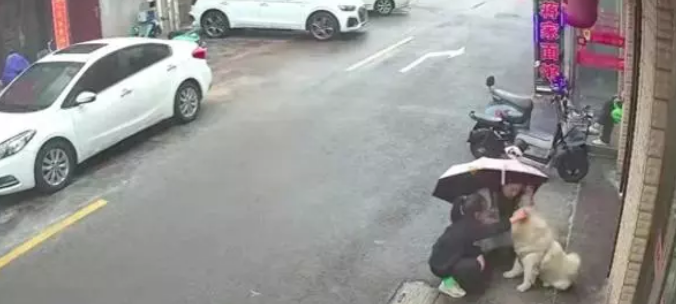 女子遭犬咬后事态升级:脸部伤势严重,狗主人或将面临高额赔偿! 女子遭犬咬后事态升级:脸部伤势严重,狗主人或将面临高额赔偿!