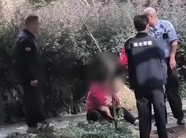大妈遛狗未拴绳?被查后不让处置,抱着狗坐地崩溃痛哭! 大妈遛狗未拴绳?被查后不让处置,抱着狗坐地崩溃痛哭!