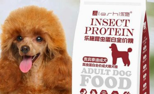 乐施昆虫蛋白可以给宠物吃吗？