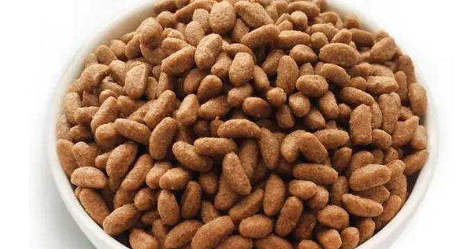 极乐宠猫粮：满足猫咪口感和营养需求的佳品