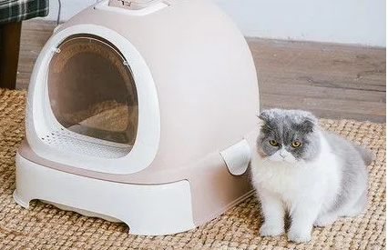 littlepets猫砂盆贵不贵