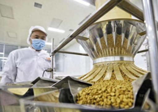 山东小镇萌宠口粮销四方 “宠物经济”催生新产业链