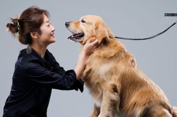 人与宠物 可否双向奔赴?