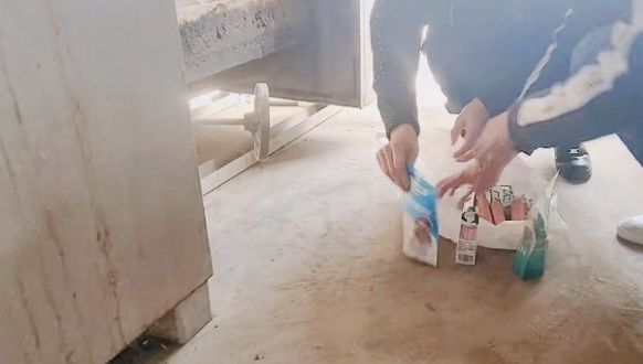 太原“被热水浇淋母猫”不幸死亡，爱心人士为其举行追悼会引争议