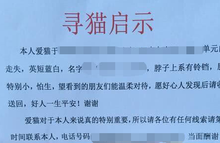 主人以为猫咪不见了,到处张贴寻猫启事,猫咪却自己跑回来了! 主人以为猫咪不见了,到处张贴寻猫启事,猫咪却自己跑回来了!