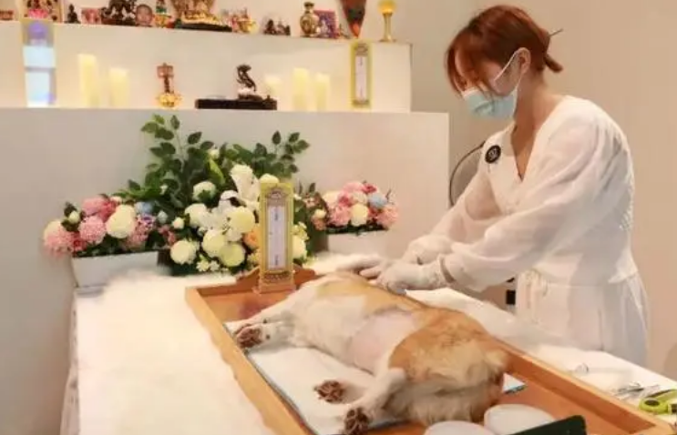 宠物殡葬行业爆发式增长:善待宠物,尊重死亡! 宠物殡葬行业爆发式增长:善待宠物,尊重死亡!