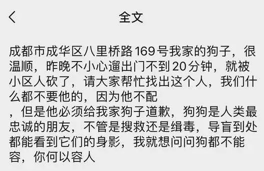 金毛溜出门被砍伤!主人“寻凶”:如果咬你了 我愿意道歉 金毛溜出门被砍伤!主人“寻凶”:如果咬你了 我愿意道歉