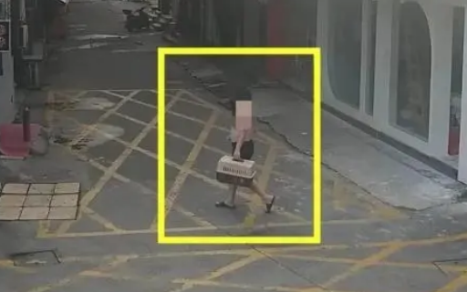 海宁张女士的“布偶猫”不见了，民警迅速抓获一男子！