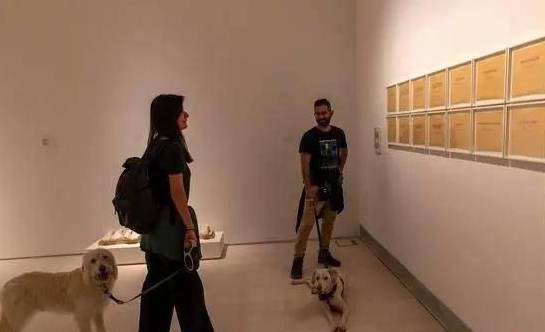 女子要带狗观展被拒引热议 宠物能进博物馆吗?
