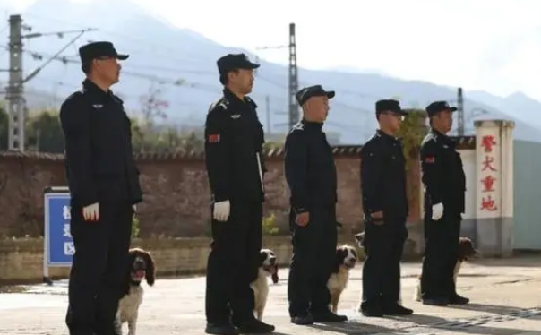 警犬“评职称”现场！来看西安现场报道！