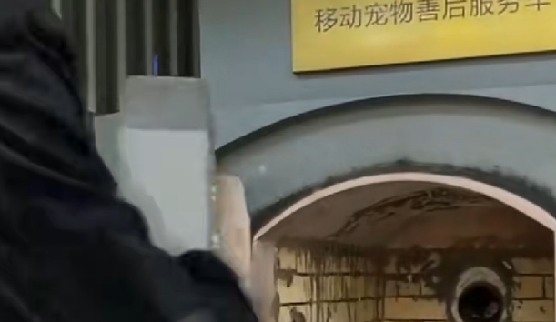 狗狗过世送去火化,店家:炉子坏了,烧了一半,主人听后情绪崩溃 狗狗过世送去火化,店家:炉子坏了,烧了一半,主人听后情绪崩溃