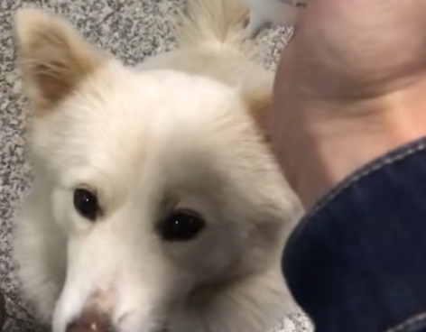 网上买的点斑水有用吗
