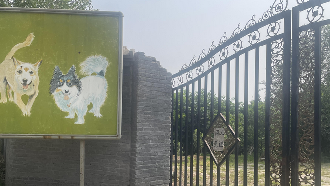 揭秘宠物墓地:不火化直接埋,无资质、上万价格直逼房价 揭秘宠物墓地:不火化直接埋,无资质、上万价格直逼房价