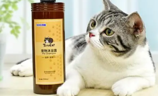 得酷猫咪沐浴露:温和洁净,滋养皮毛的宠物洗澡好帮手 得酷猫咪沐浴露:温和洁净,滋养皮毛的宠物洗澡好帮手
