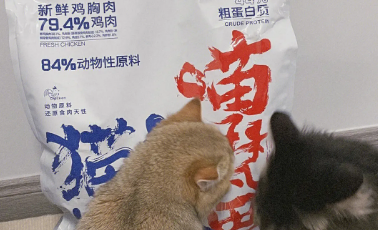 喵梵思猫粮:质量卓越,值得信赖的猫粮品牌 喵梵思猫粮:质量卓越,值得信赖的猫粮品牌