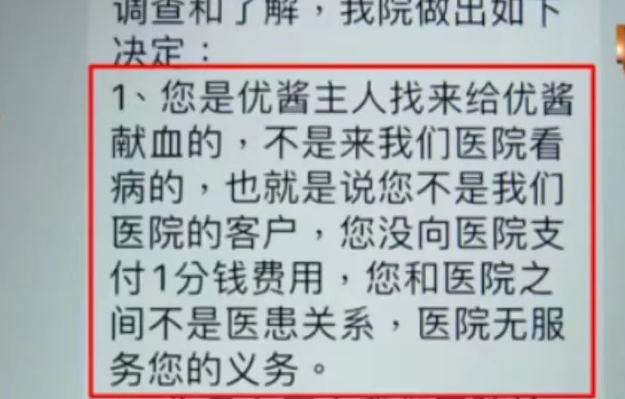 小猫献血后蔫了近10天，铲屎官肠子都悔青