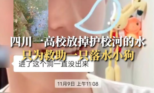 超赞!流浪狗掉进护校河里,师生保安齐心协力放掉河水,成功将狗狗救了出来. 超赞!流浪狗掉进护校河里,师生保安齐心协力放掉河水,成功将狗狗救了出来.