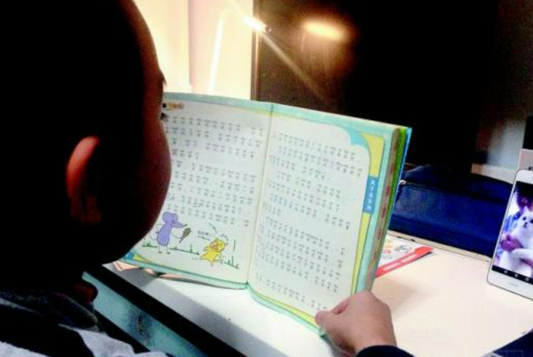 为完成奇葩作业千里“借猫”，孩子读书不易家长更不易