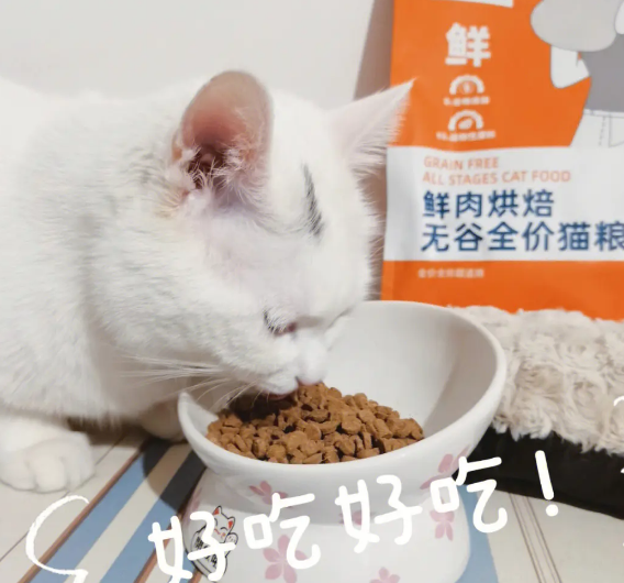 宠熙鲜肉烘焙猫粮H42测评结果：老年猫慎选