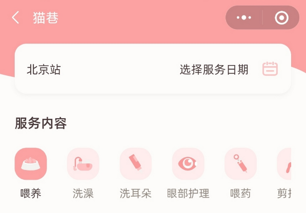 猫巷宠托师上门喂猫洗护，开启养猫轻享时代