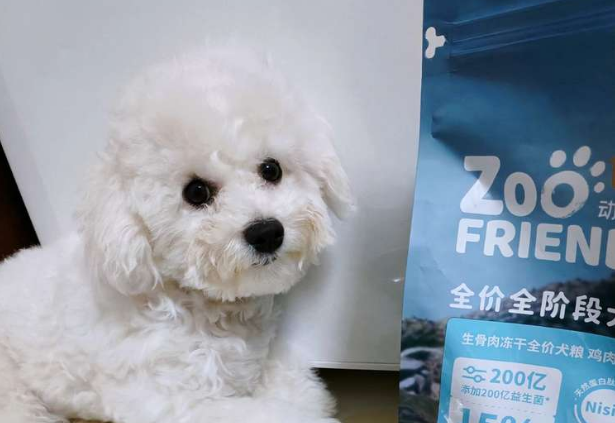 动物小镇狗粮去泪痕不