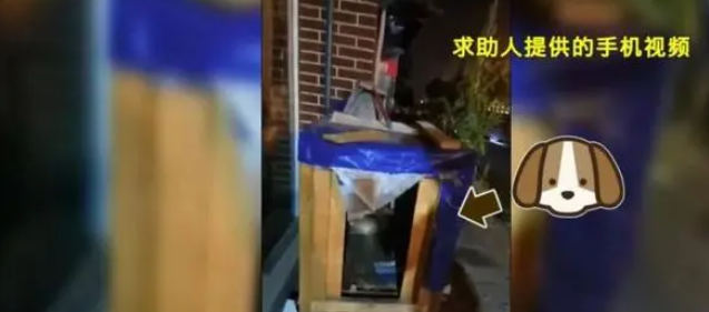 快递小哥欲哭无泪,价值万元包裹被流浪狗“精准”叼走 快递小哥欲哭无泪,价值万元包裹被流浪狗“精准”叼走